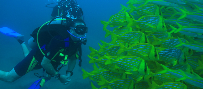 Scuba Diving Beginners Tour in Cabos