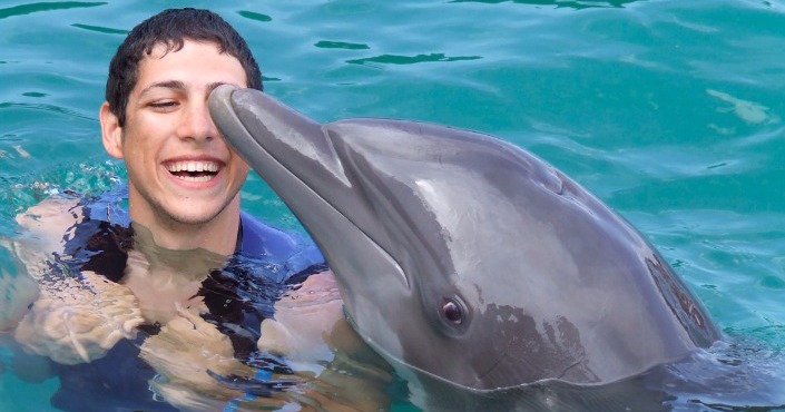 Dolphin Swim Adventure Memories