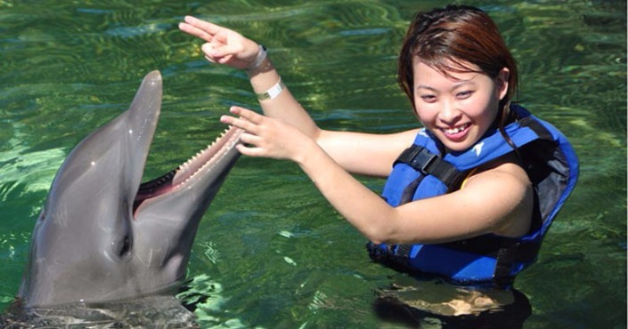 Dolphin Lovers' Swim and Stingray City Experience