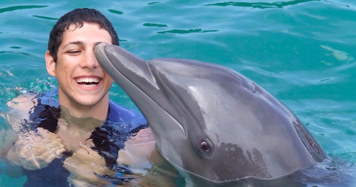 Dolphin Lovers&#039; Swim and Stingray City Experience