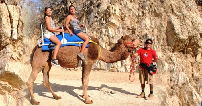 Camel Quest los Cabos
