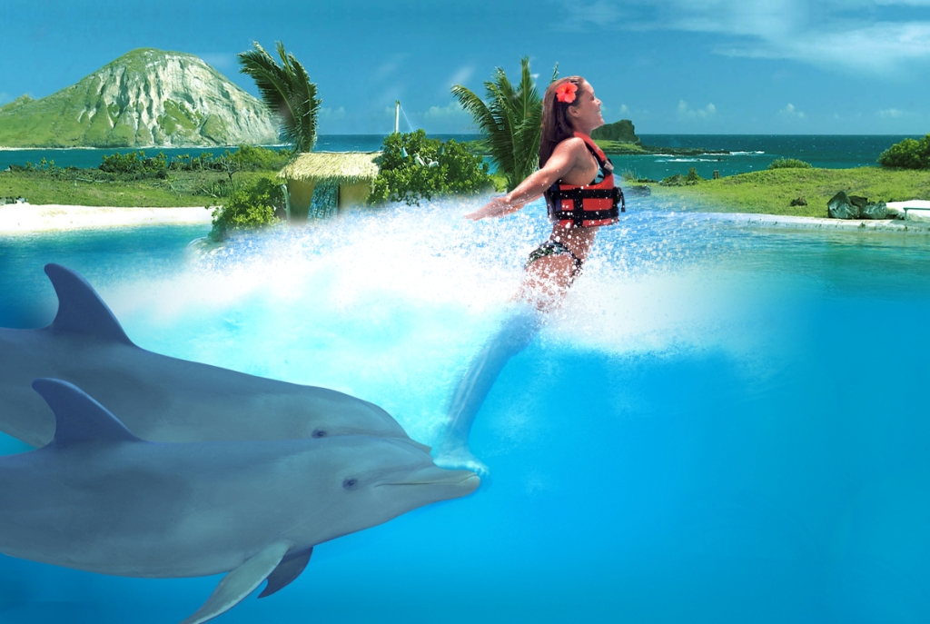 Dolphin Encounter - Tulum Akumal