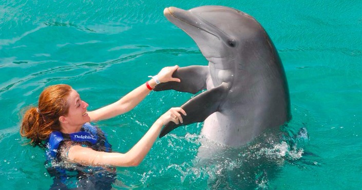 Dolphin Swim Adventure in St. Kitts