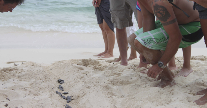 Coyuca with turtle release in Acapulco