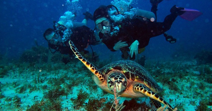 Discover Cancun Scuba Diving