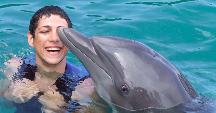 Dolphin Swim Adventure and Stingray City