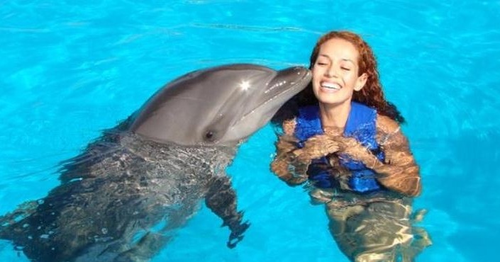 Anguilla-St Maarten - Dolphin Royal Swim