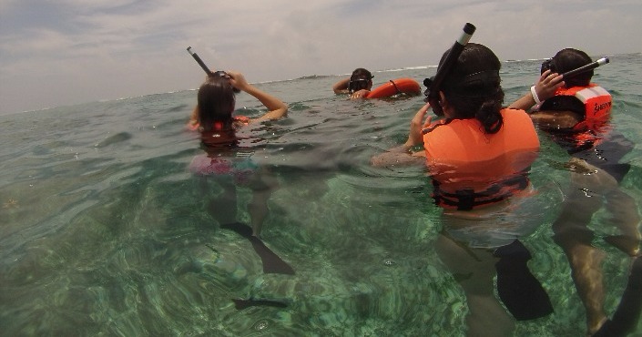 Snorkeling in Puerto Morelos Tour