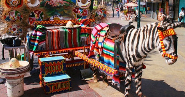 Tijuana City Tour (5 pax)