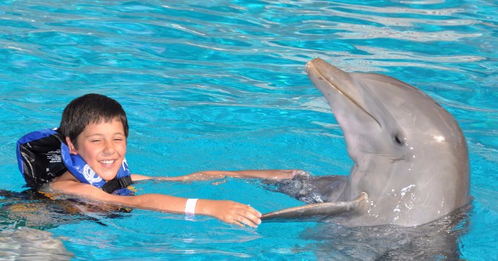 Dolphin Encounter at Six Flags