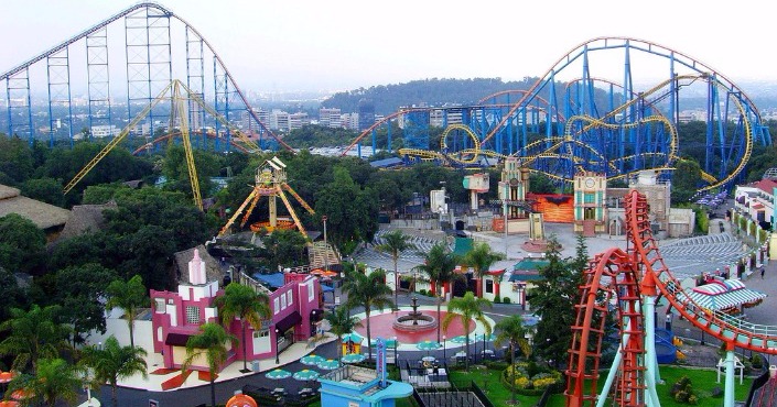 Six Flags + Nado con Delfines in Mexico City 