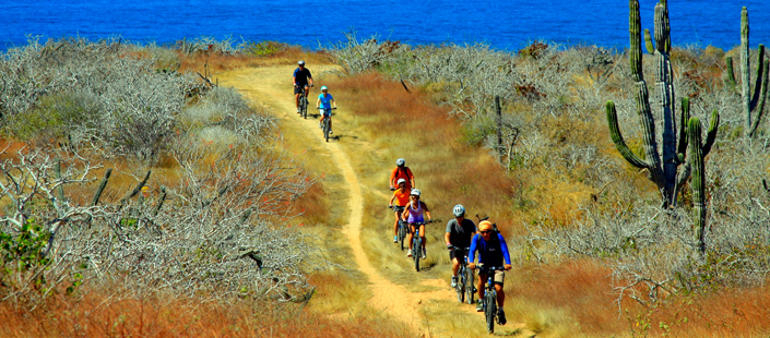 Mountain Bike Adventure Tour Los Cabos