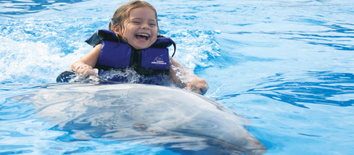 Dolphin Kids Puerto Vallarta
