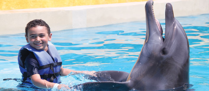 Dolphin Kids Puerto Vallarta