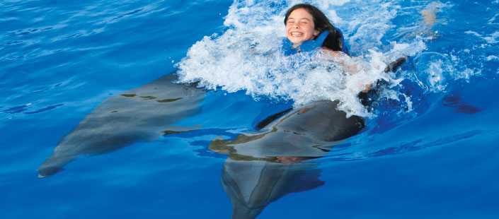 Dolphin Signature Swim in Puerto Vallarta