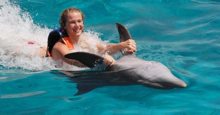Dolphin Swim Adventure Puerto Vallarta
