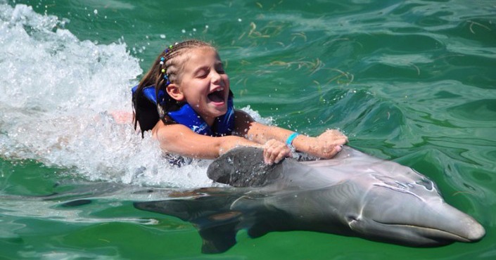 Dolphin Swim Adventure in Punta Cana