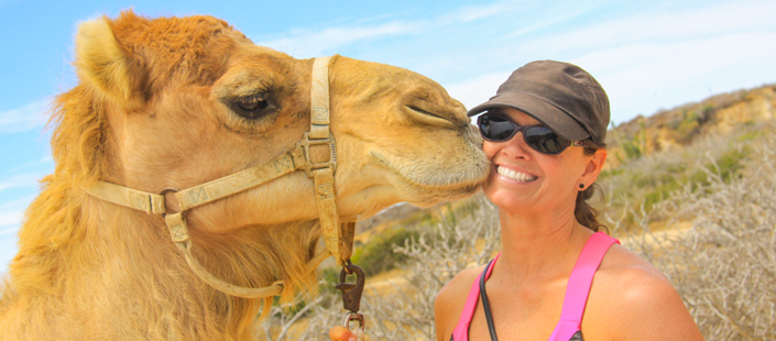 Outback Tour & Camel Safari in Cabos