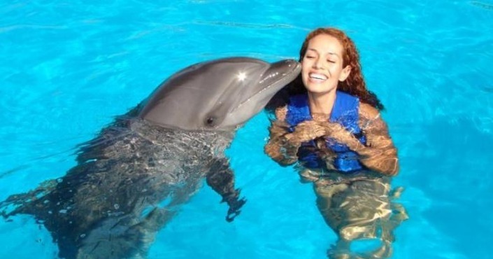 Dolphin swim Anguillla-St Maarten