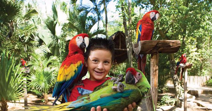 Discovery Tour to Xcaret Park