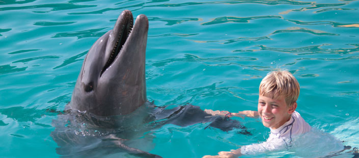 Dolphin Encounter in Puerto Vallarta