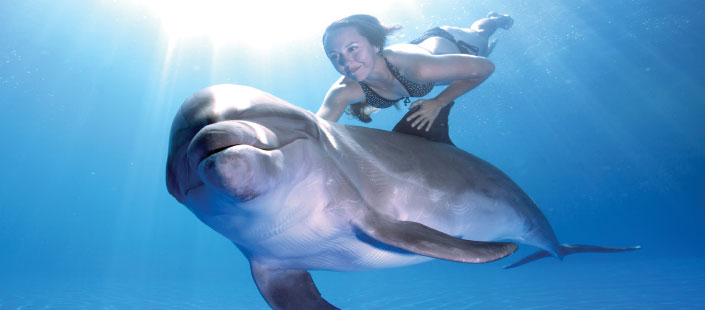 Dolphin Extreme Swim 