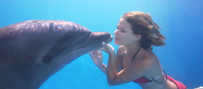Dolphin Extreme Swim 