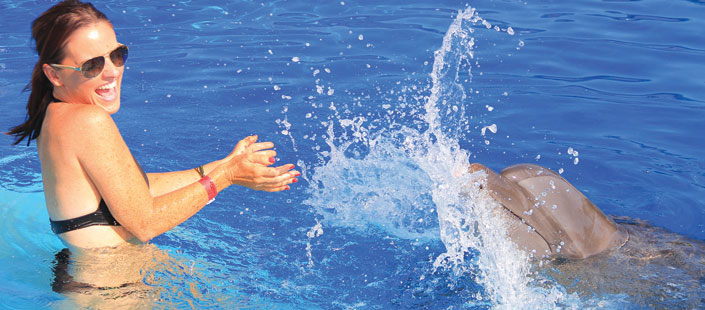 Dolphin Swim Experience in Puerto Vallarta