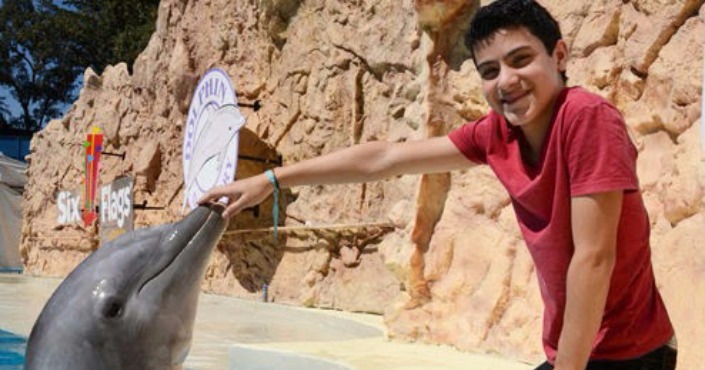Dolphin Experience program at Six Flags