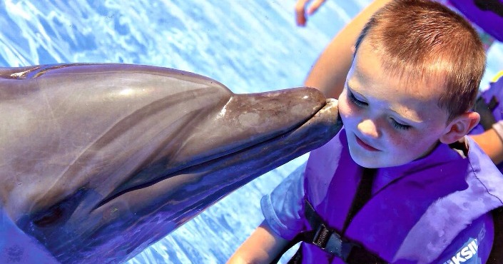 Dolphin Experience program at Six Flags