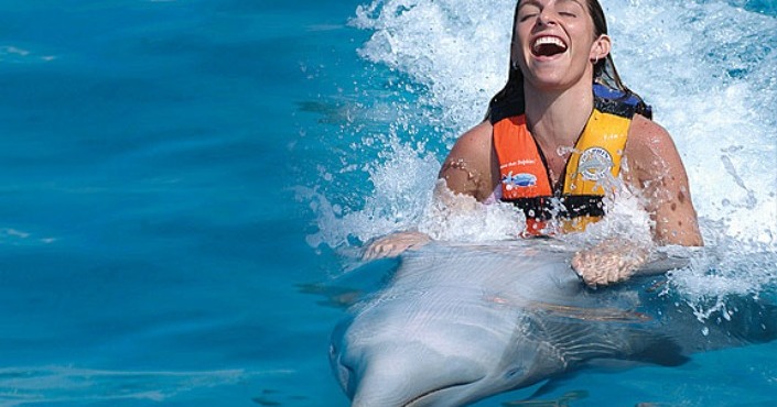 Dolphin Encounter Puerto Vallarta