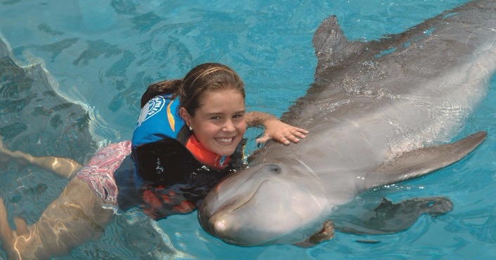 Dolphin Swim Memories in Six Flags Mexico